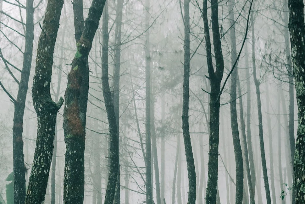 Unveiling the Charm of Vernon, NJ: Exploring the City and Its Unpredictable Weather