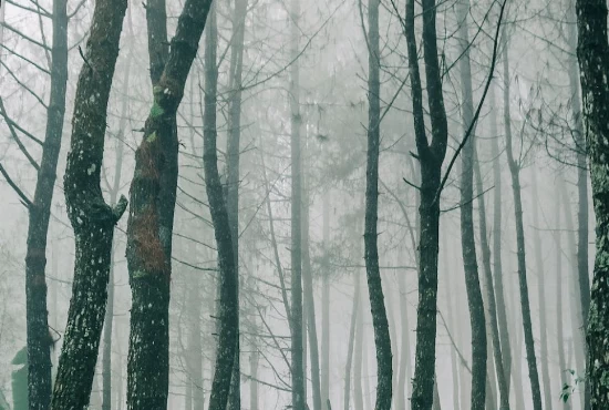 Unveiling the Charm of Vernon, NJ: Exploring the City and Its Unpredictable Weather